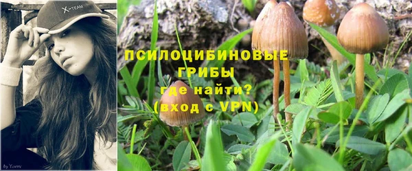 MESCALINE Лихославль
