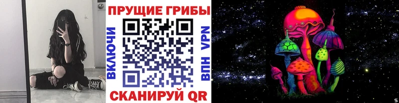Купить где  Дегтярск  Галлюциногенные грибы мицелий 